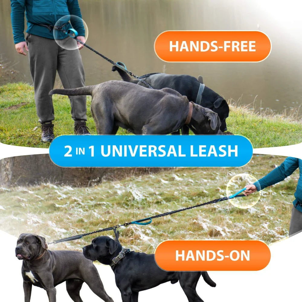 Tangle Free Double Dog Leash for Medium & Large Breeds 360° Swivel No-Tangle Design with Padded Handles Reflective Stitches 16 f