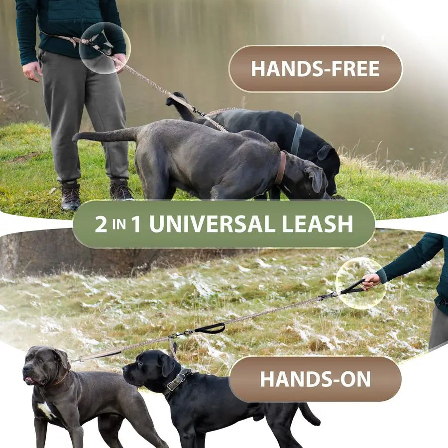 Hands Free Double Dog Leash