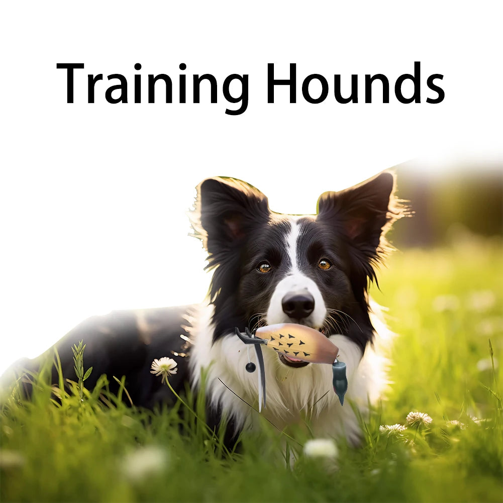 Dog Hunting, Training Toy