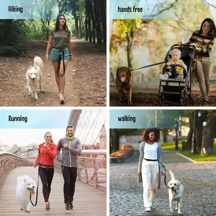 Hands Free Dog Leash