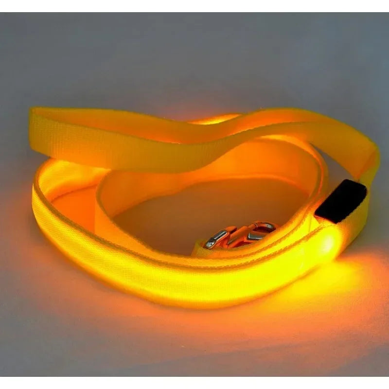 LED Dog Leash