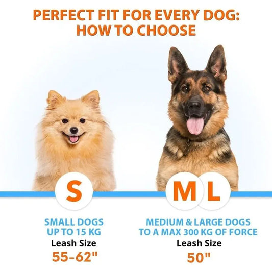 Hands Free Double Dog Leash