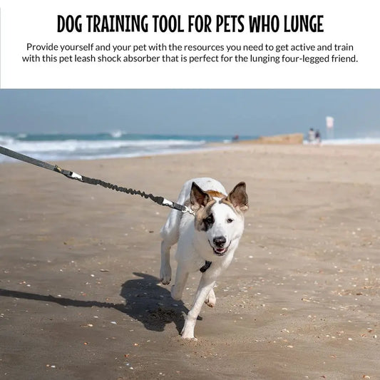 Hands Free Dog Leash