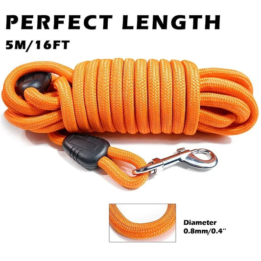 Dog Training Leashes