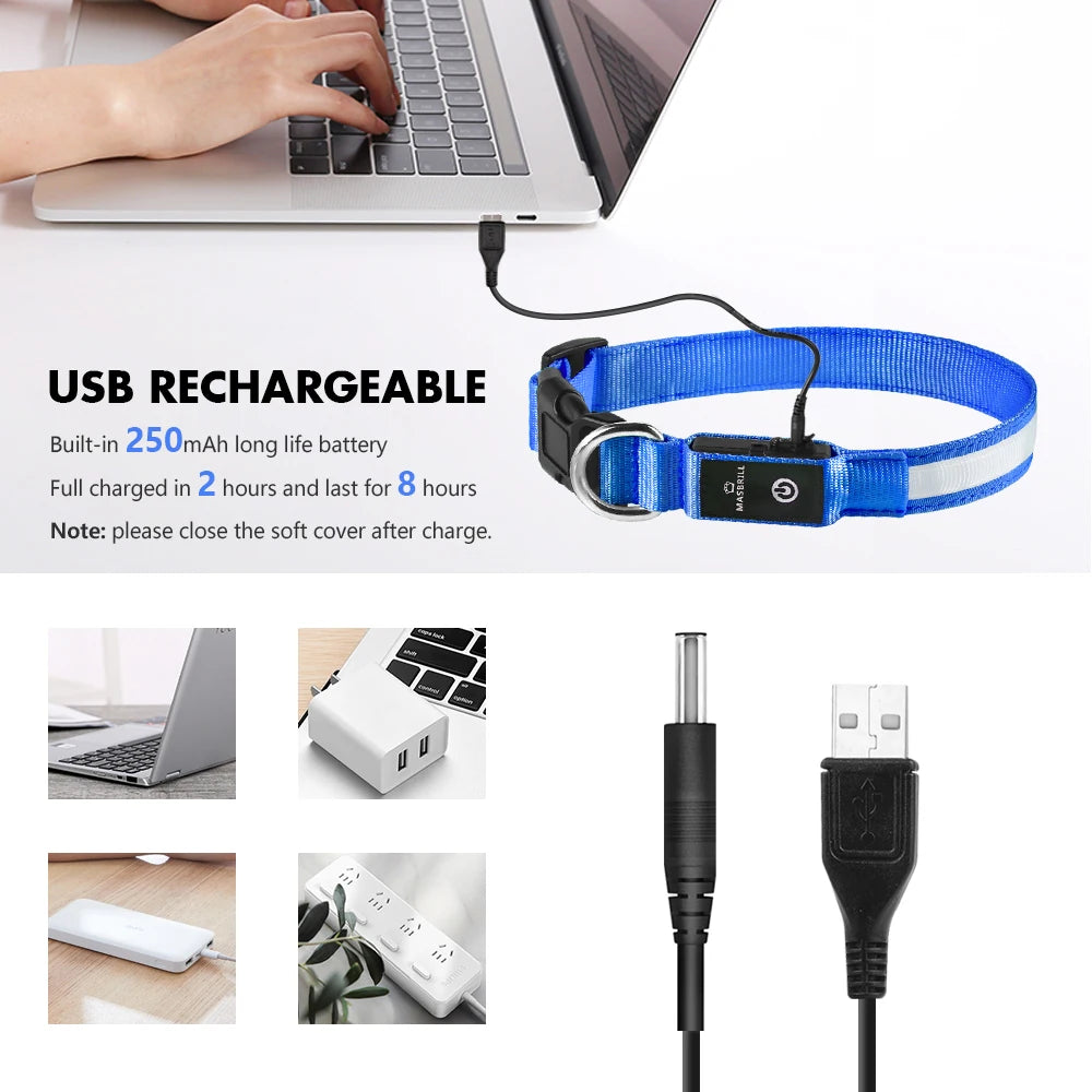 Dog Collar Waterproof Illuminated