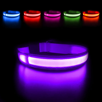 Dog Collar Waterproof Illuminated