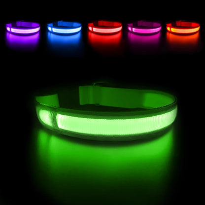 Dog Collar Waterproof Illuminated