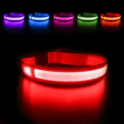 Dog Collar Waterproof Illuminated