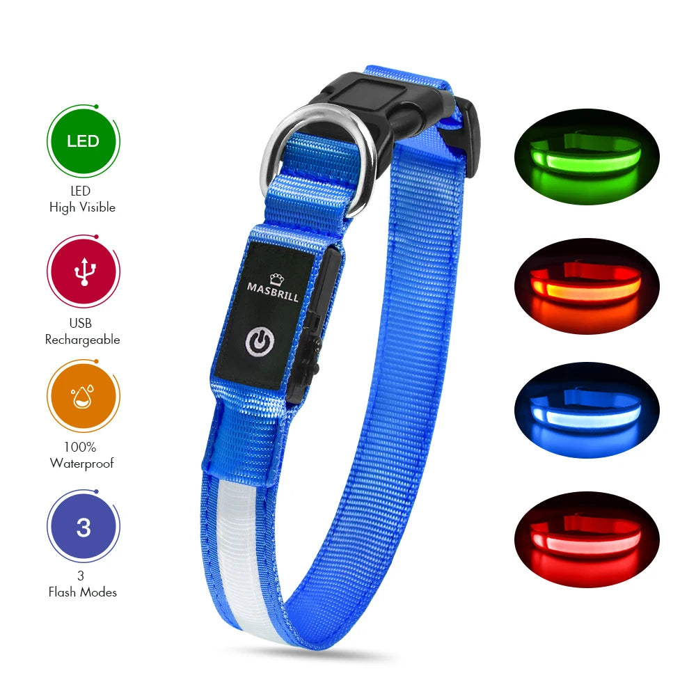 Dog Collar Waterproof Illuminated