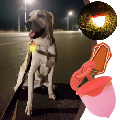 Dog Collar Light