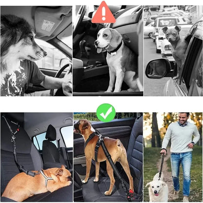 Dog Car Seatbelt Restraint