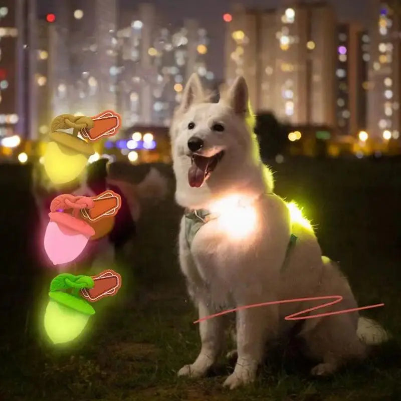 Dog Collar Light