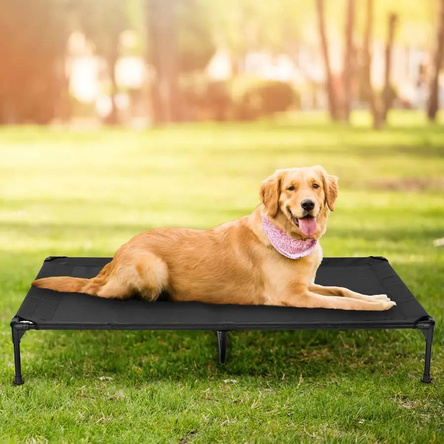 Large Raised Dog Cot
