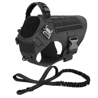 Large Dog Harness and Leash Set