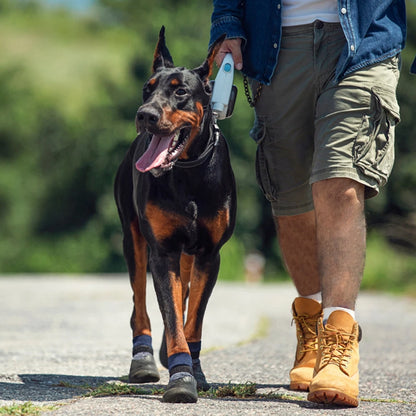 Dog Boots Paw Protector