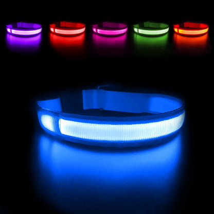 Dog Collar Waterproof Illuminated