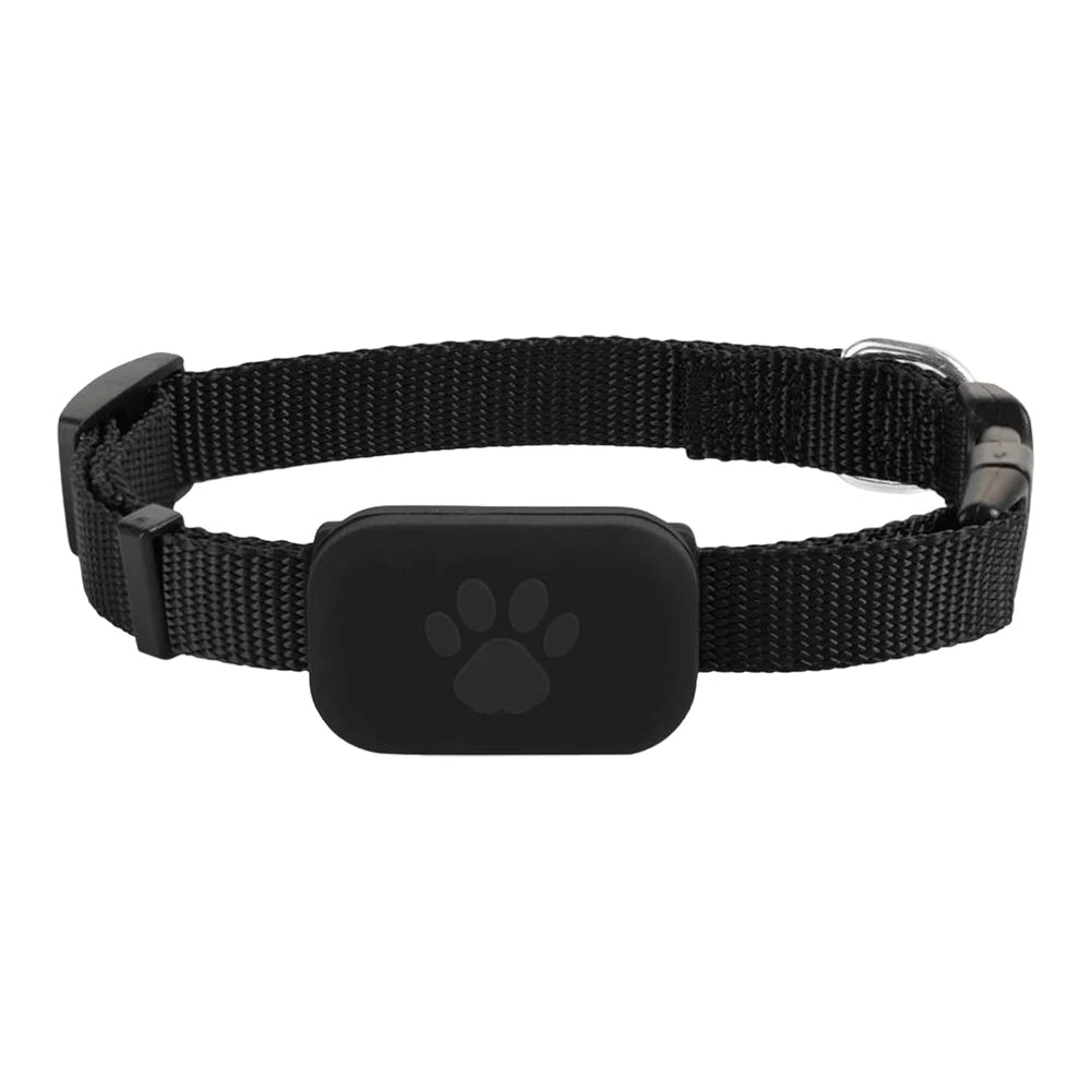 GPS Locator for Dogs and Cats