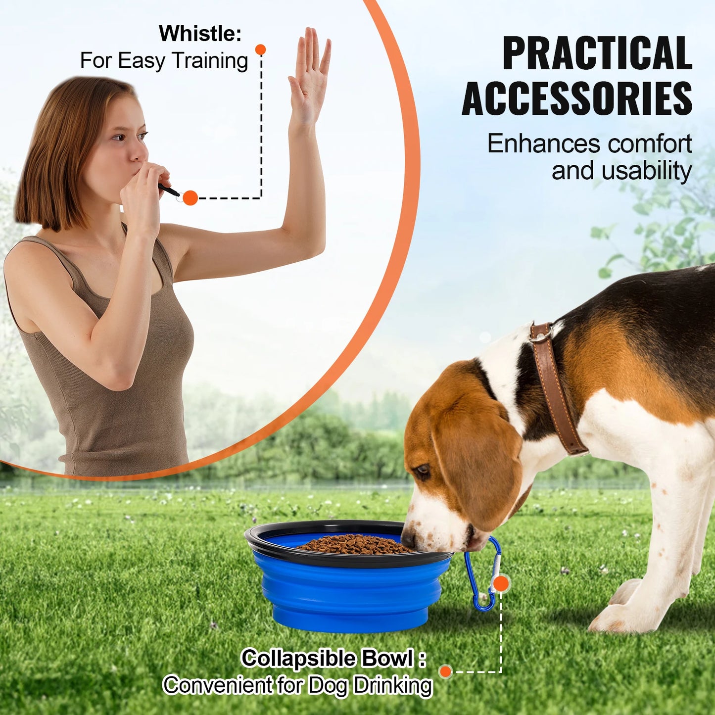 Dog Agility Training Equipment
