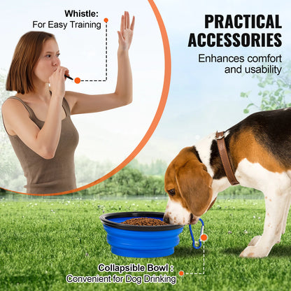 Dog Agility Training Equipment