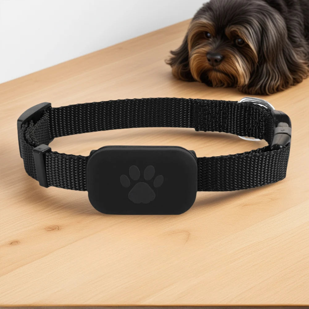 GPS Locator for Dogs and Cats