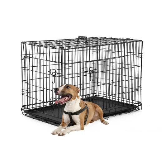 Folding Dog Crate