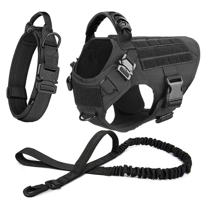 Large Dog Harness and Leash Set