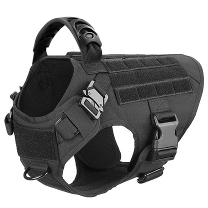 Large Dog Harness and Leash Set