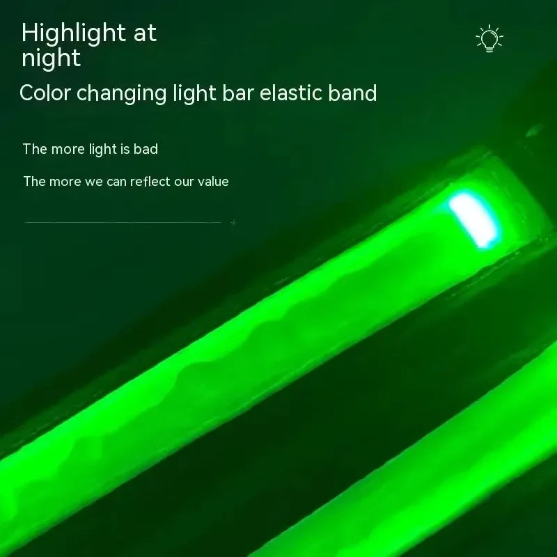 LED Dog Collar Harness
