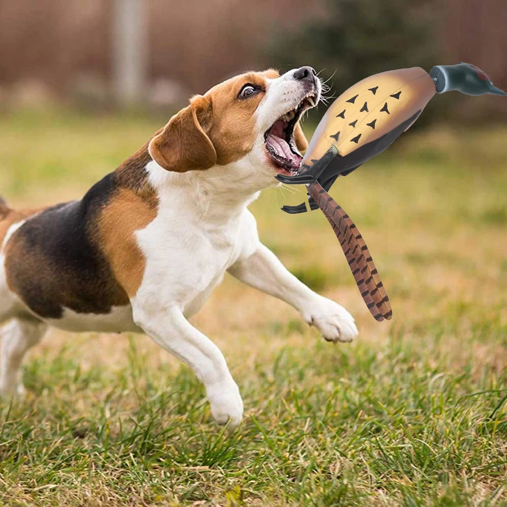 Dog Hunting, Training Toy