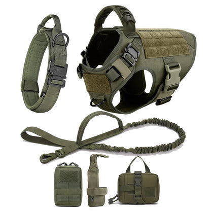 Large Dog Harness and Leash Set