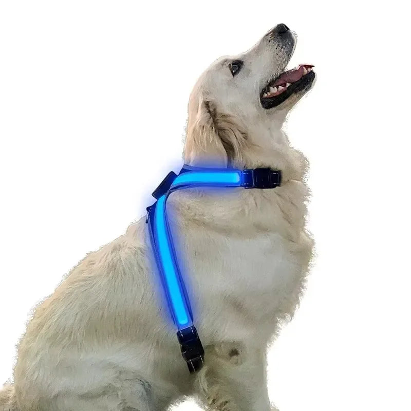 LED Dog Collar Harness