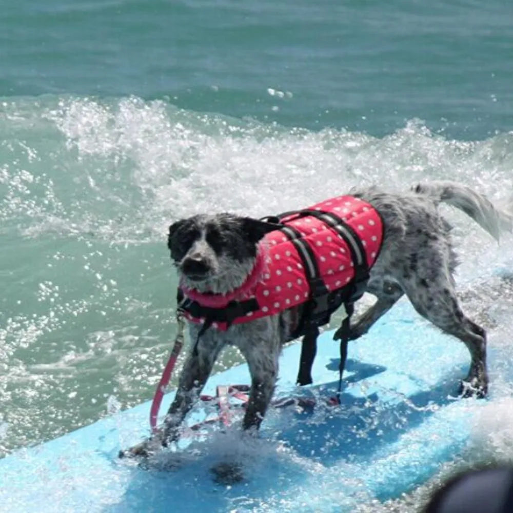 Life Jacket Dog Safety Vest Rescue & Training