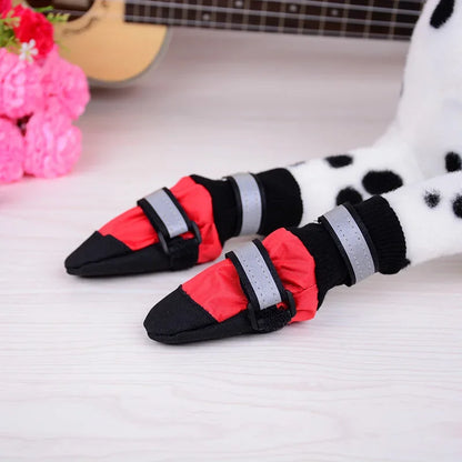 Dog High Shoes