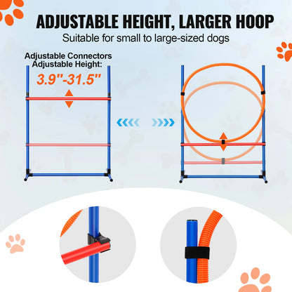 Dog Agility Training Equipment