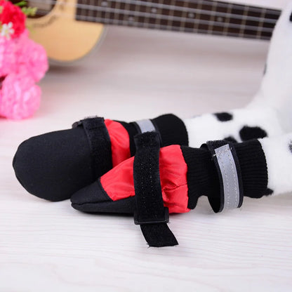 Dog High Shoes