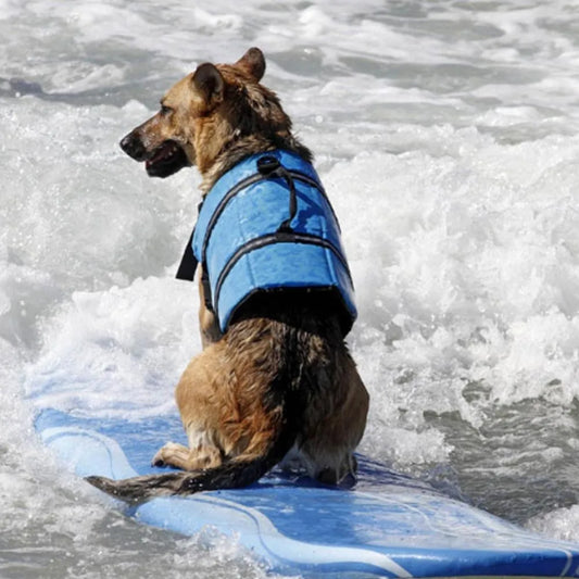 Life Jacket Dog Safety Vest Rescue & Training