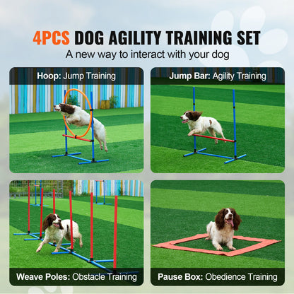 Dog Agility Training Equipment
