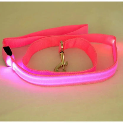 LED Dog Leash