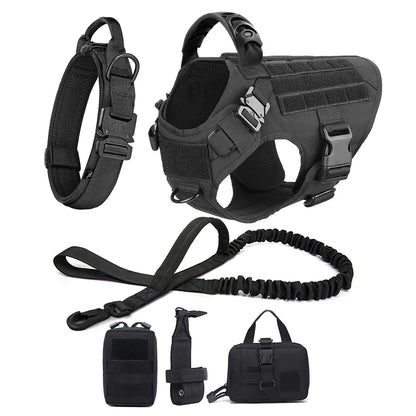 Large Dog Harness and Leash Set