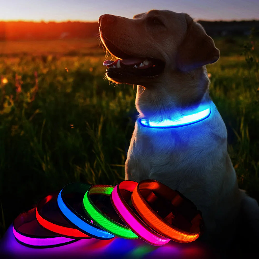 Dog Collar Waterproof Illuminated
