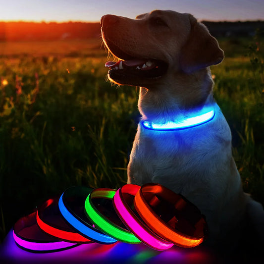 Dog Collar Waterproof Illuminated