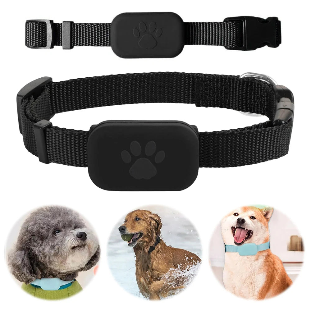 GPS Locator for Dogs and Cats