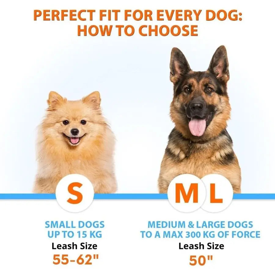 Hands Free Double Dog Leash