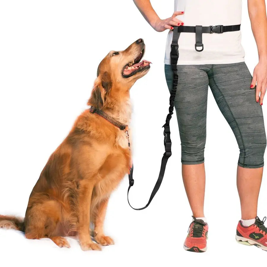 Hands Free Dog Leash