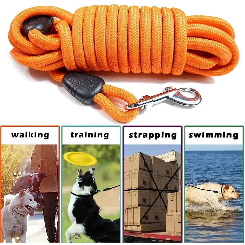 Dog Training Leashes