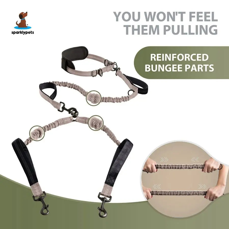 Hands Free Double Dog Leash