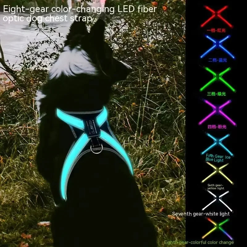 LED Dog Collar Harness
