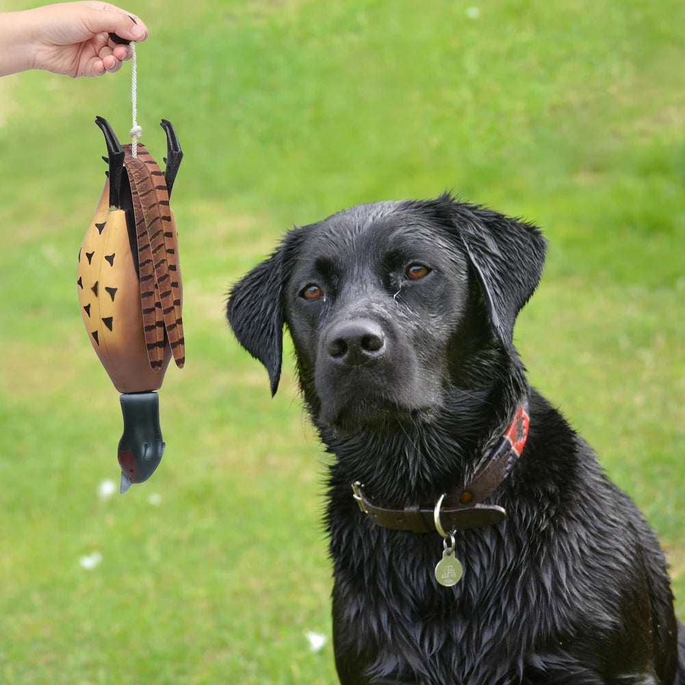 Dog Hunting, Training Toy