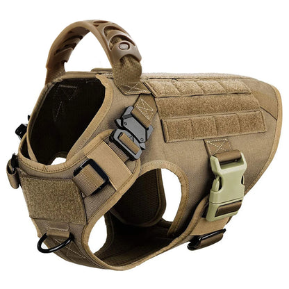 Large Dog Harness and Leash Set