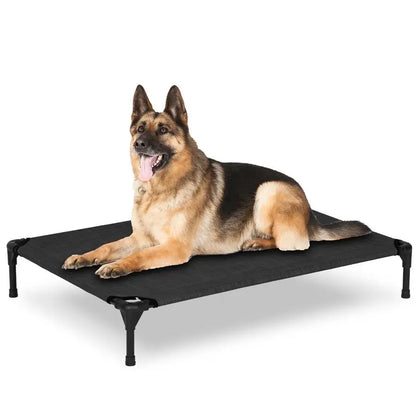 Large Raised Dog Cot